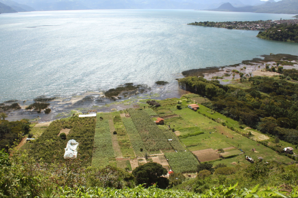 Guatemala’s Quest for&nbsp;Justice