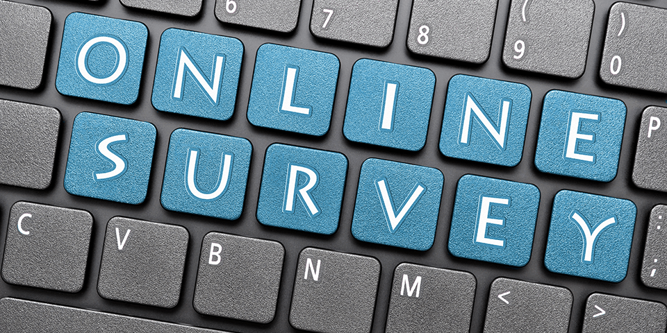 Comment on Revenge Porn Survey&nbsp;Results